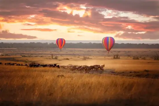 Great Migration