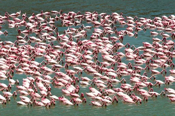 Lake Manyara