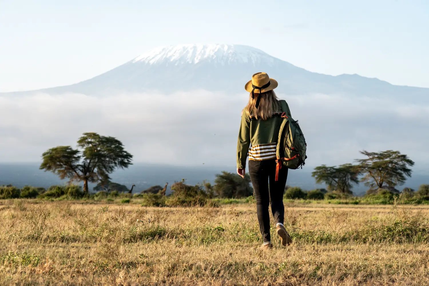Mt. Kilimanjaro