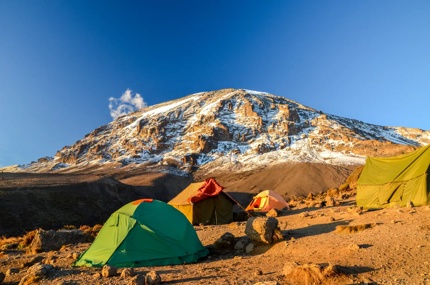 Mt. Kilimanjaro